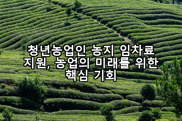 청년농업인 농지 임차료 지원, 농업의 미래를 위한 핵심 기회